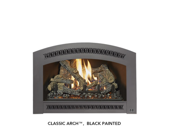 Fireplace X - 32 DVS Deluxe Ember-Glo - Fireplace X Gas Insert