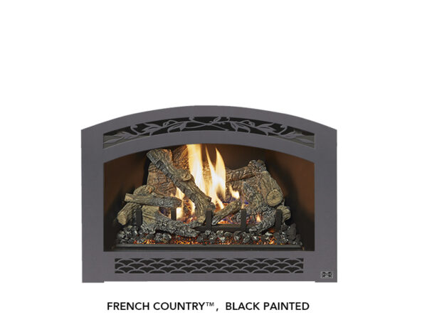 Fireplace X - 32 DVS Deluxe Ember-Glo - Fireplace X Gas Insert