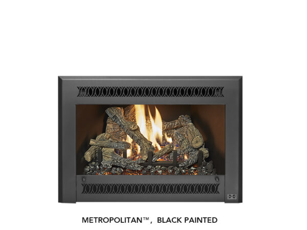 Fireplace X - 32 DVS Deluxe Ember-Glo - Fireplace X Gas Insert