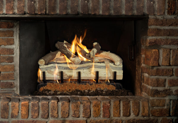 Grand Canyon Gas Logs - Blue Pine Split - Grand Canyon Gas Logs