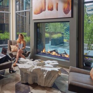 DaVinci Collection - See-Thru Linear Gas Fireplace - DaVinci Gas Fireplace & Outdoor Fire