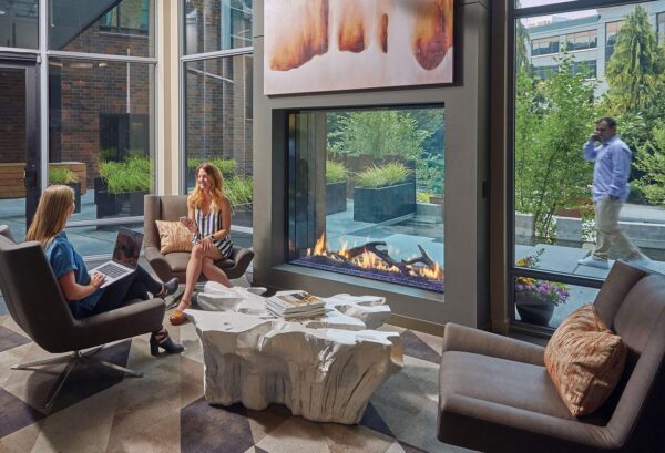 DaVinci Collection - See-Thru Linear Gas Fireplace - DaVinci Gas Fireplace & Outdoor Fire