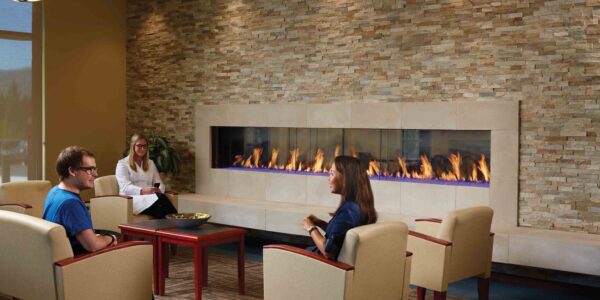 DaVinci Collection - See-Thru Linear Gas Fireplace - DaVinci Gas Fireplace & Outdoor Fire