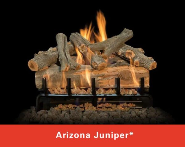 Earthcore - The Bvetto Series - Earthcore Gas Masonry Fireplace Fireplace